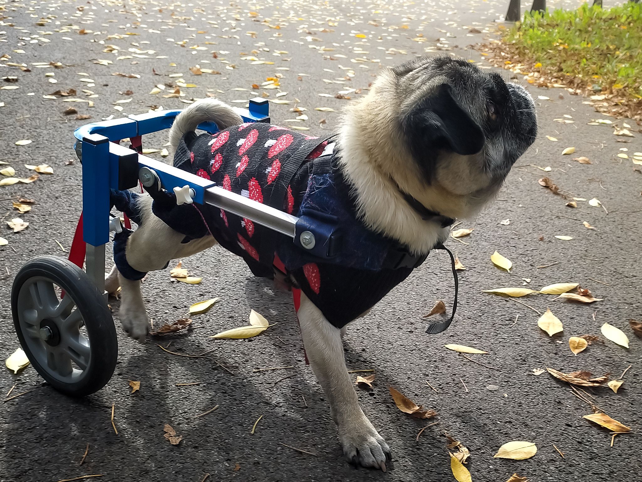 505168112_3142446042569066_6996608121072348406_n