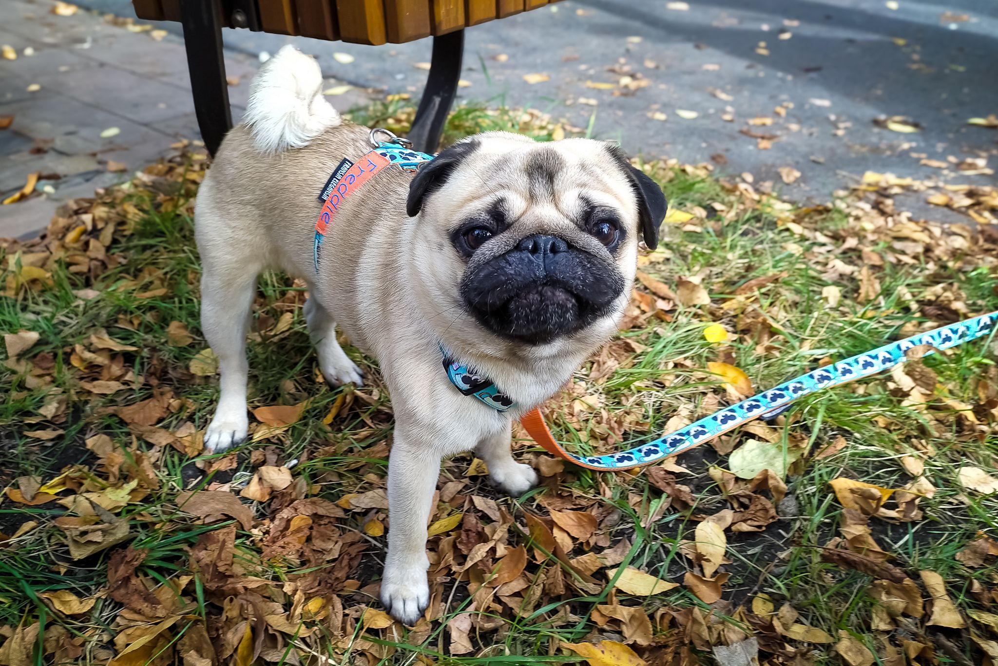 505196376_3142446035902400_5136888210875005133_n