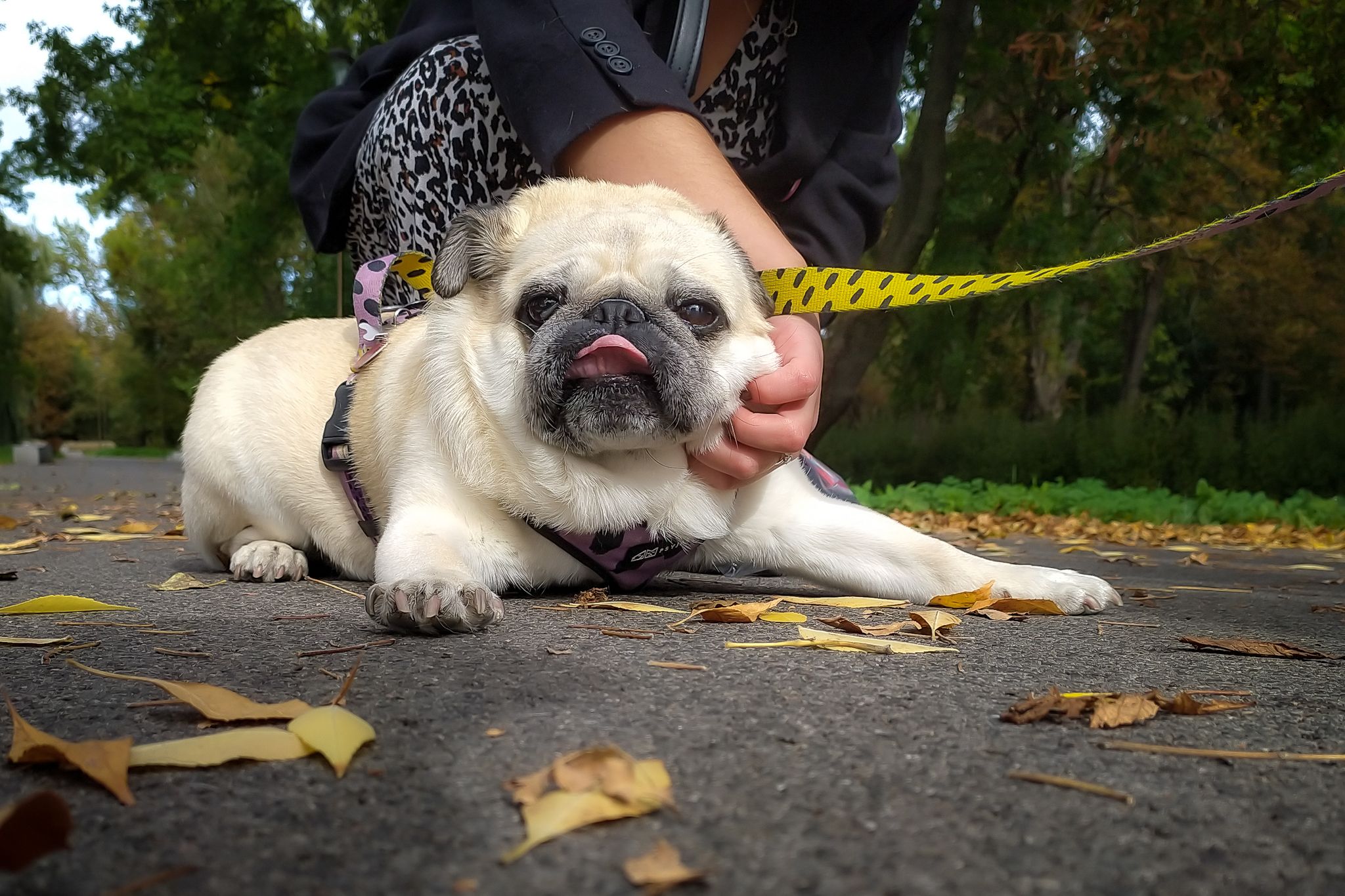 505198591_3142446039235733_771958157888333995_n