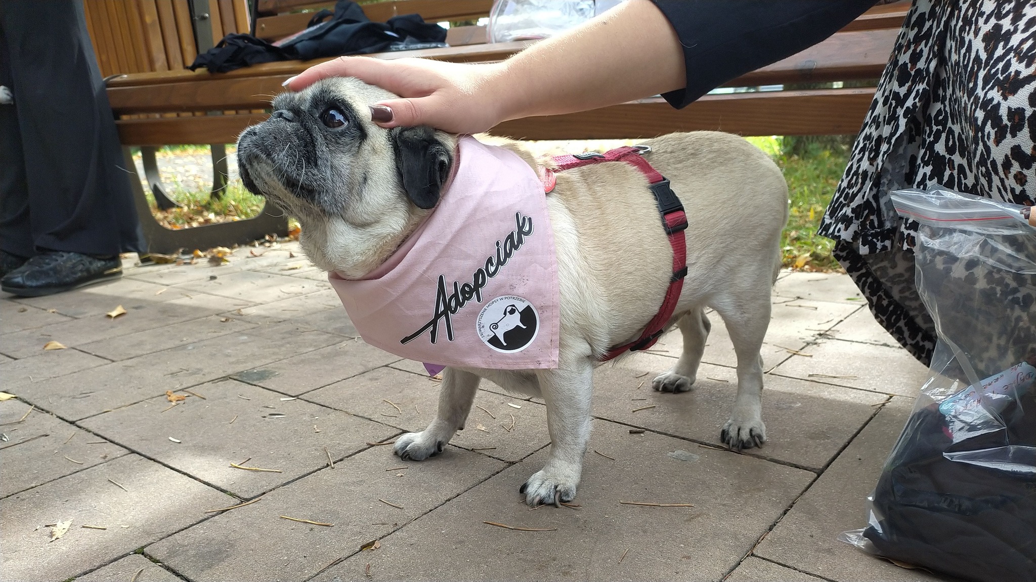 505257064_3142445712569099_2523314287436331252_n