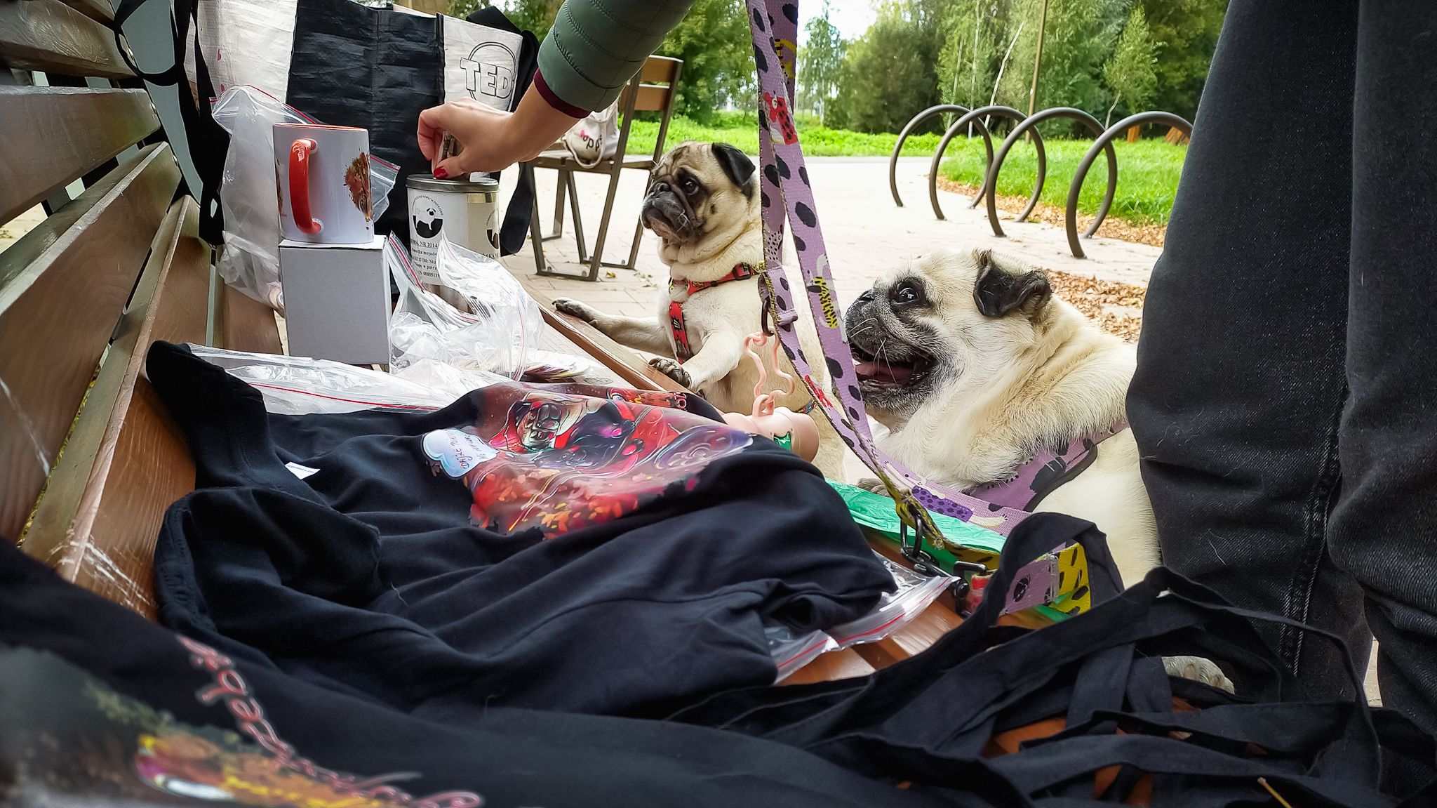 505393528_3142445972569073_6777980971506106548_n